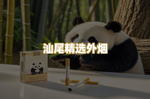 汕尾精选外烟